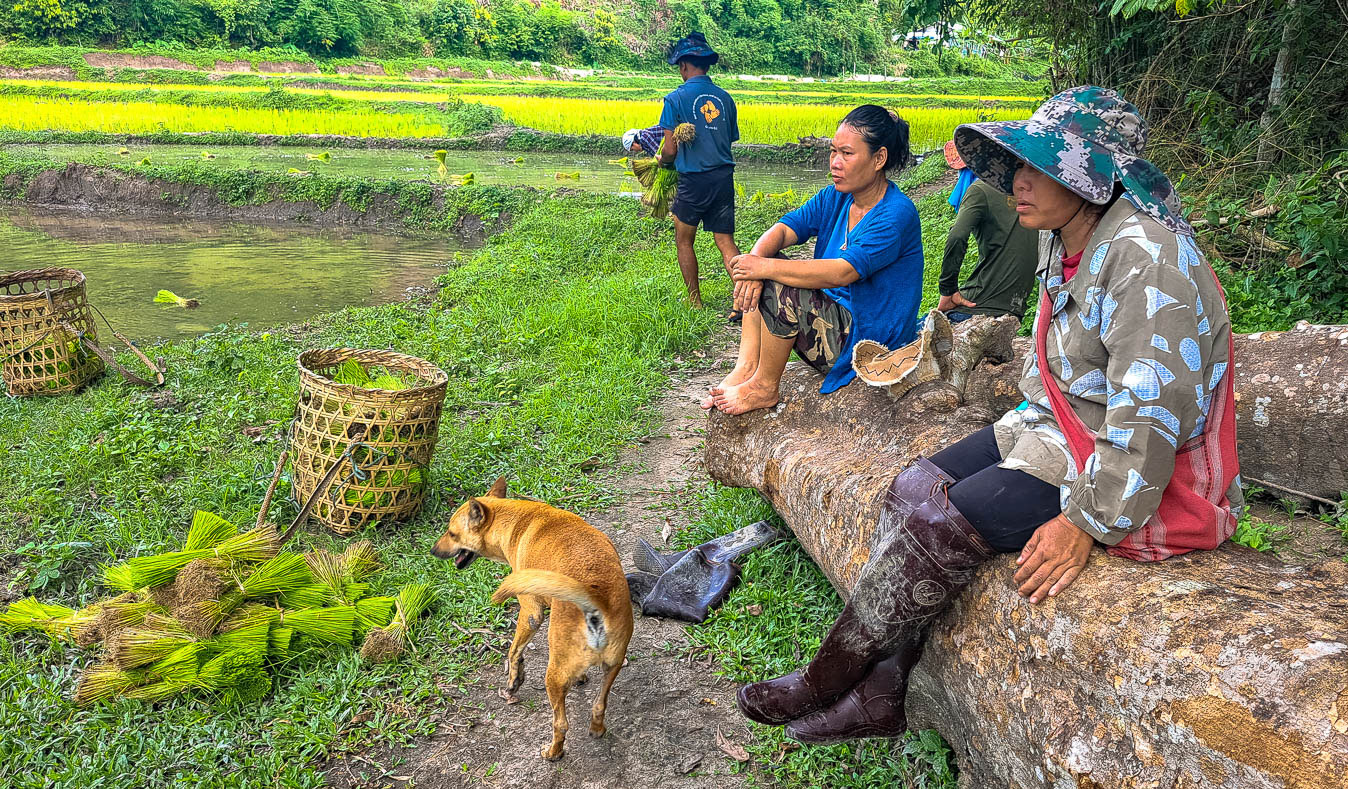 share the life of a karen village in the mountains