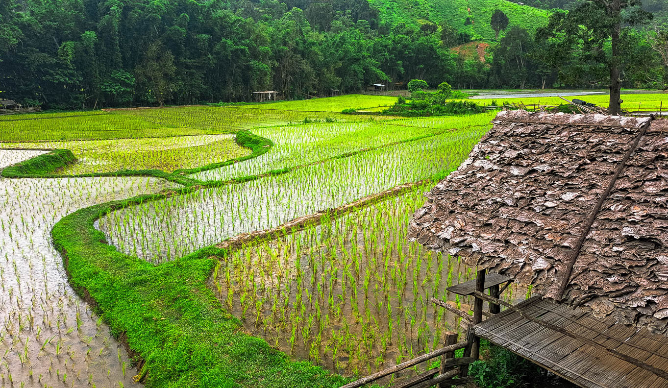 share the life of a karen village in the mountains